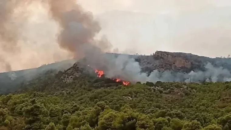 حريق جبل برقو: إيداع شخصين السجن والإبقاء على 3 بحالة سراح