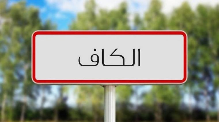 الكاف: وفد من وزارة الصحة يعاين سير المشاريع الإستشفائية وتدعيم التجهيزات وتحسين الخدمات الصحية
