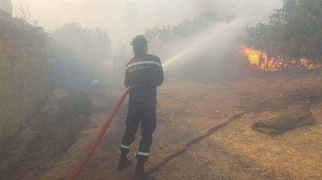 سليانة: حملة تضامنية لجمع التبرعات لفائدة العائلات المتضررة من حريق جبل بولمان ببرقو